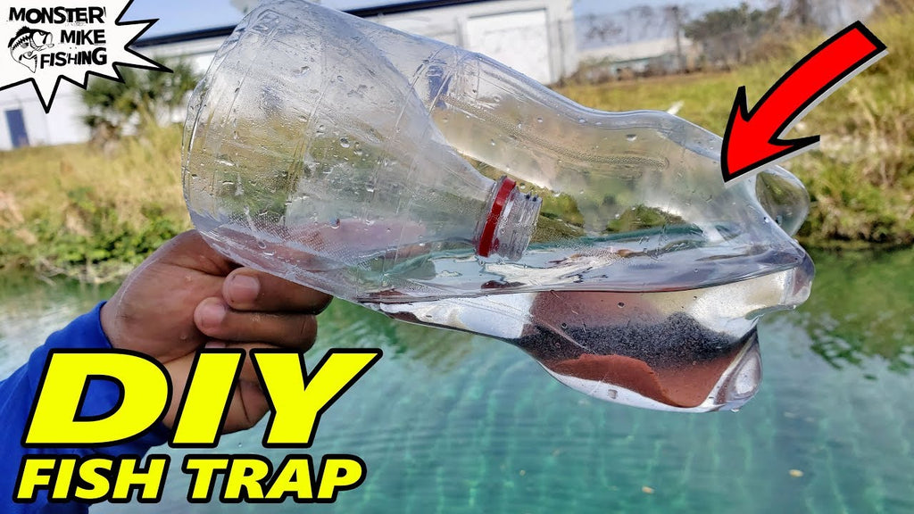 I Made a Fish Trap Out of a Coke Bottle! **Amazing Results**