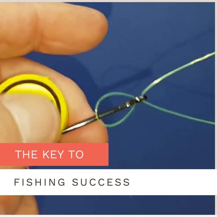 Master the Trilene Fishing Knot: Your Key to Fishing Success!