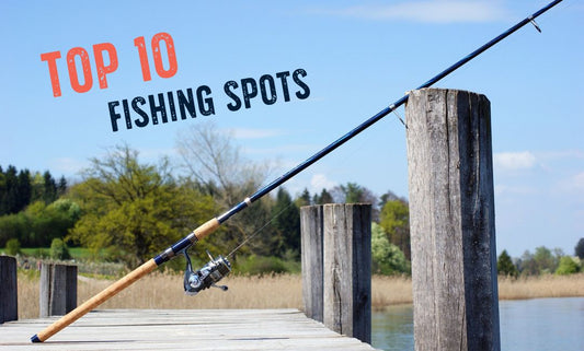 Abundant marine life, diverse fish species, and picturesque landscapes.