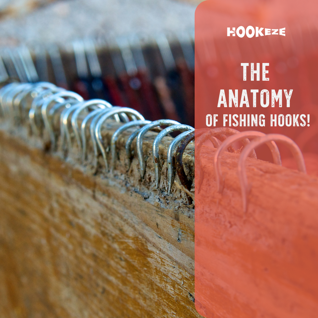 The Anatomy of a Fishing Hook