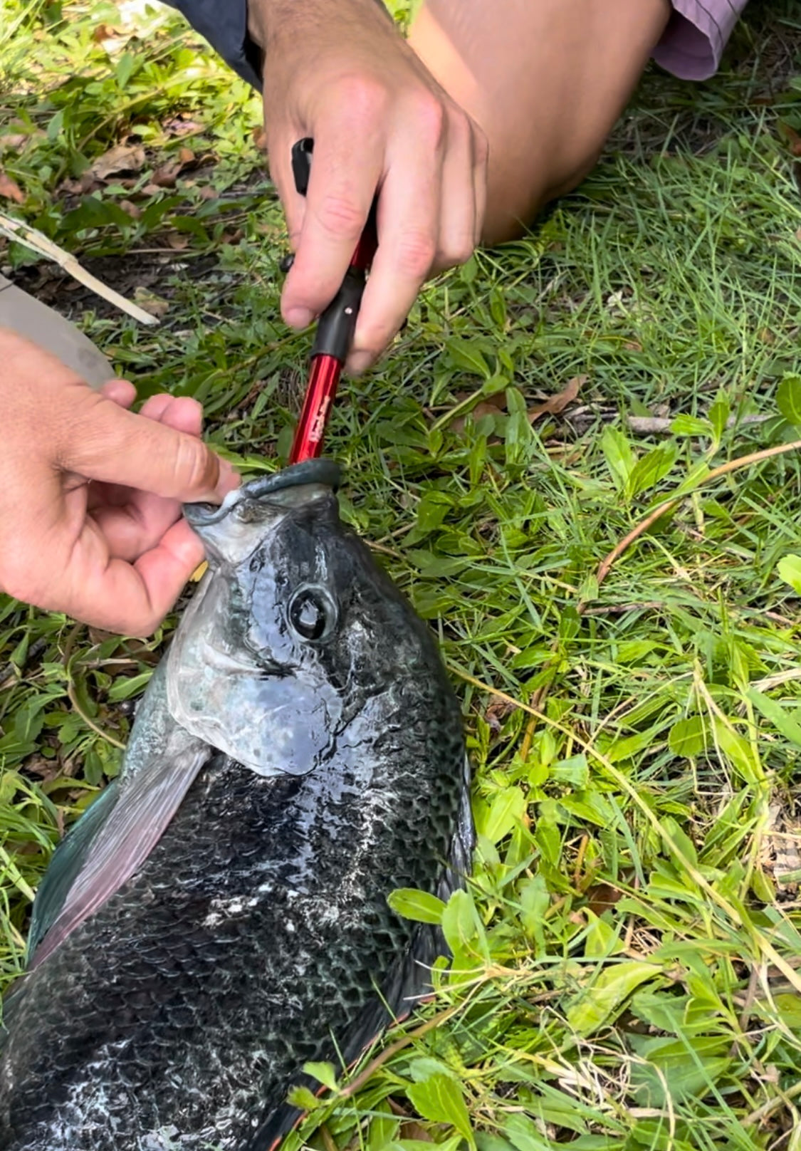Hook-Eze Fish Hook Remover